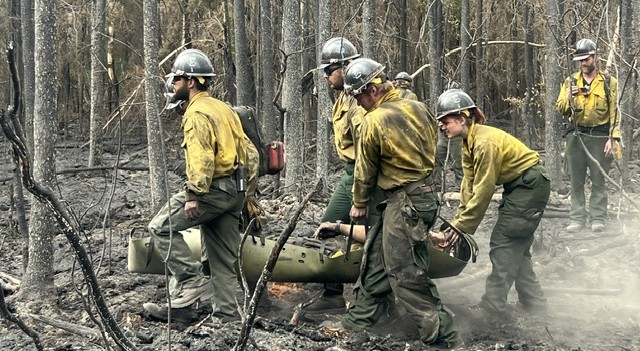Medic program